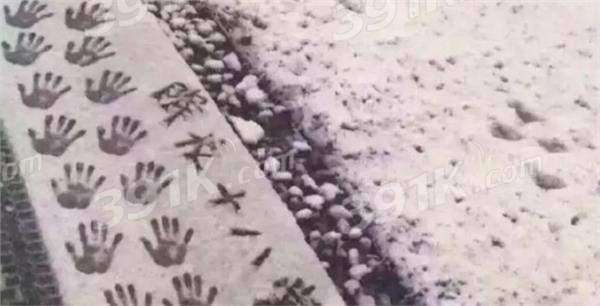 南雪北调是什么梗_南雪北调是什么意思