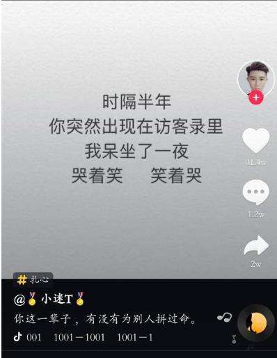 抖音1001是什么歌你这辈子有没有为别人拼过命歌词