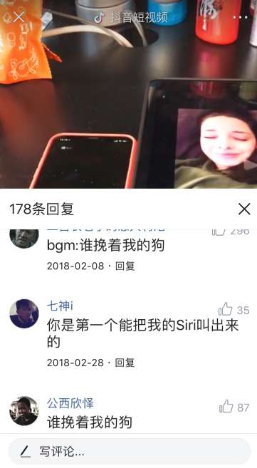 抖音谁挽着我的狗是英文歌吗抖音谁挽着我的狗是什么英文歌