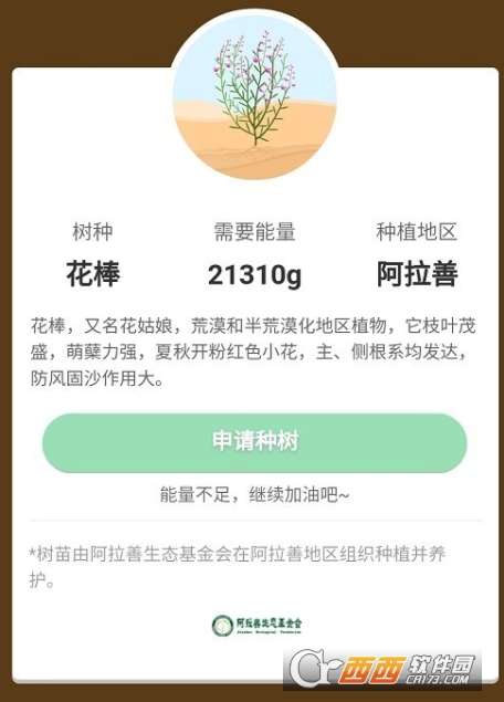 支付宝蚂蚁森林花棒需要多少能量支付宝蚂蚁森林花棒需要能量介绍