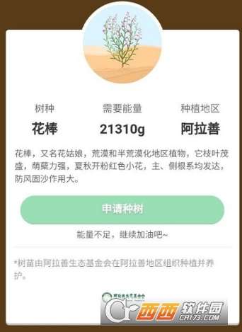 支付宝蚂蚁森林花棒怎么种支付宝蚂蚁森林花棒种法教程