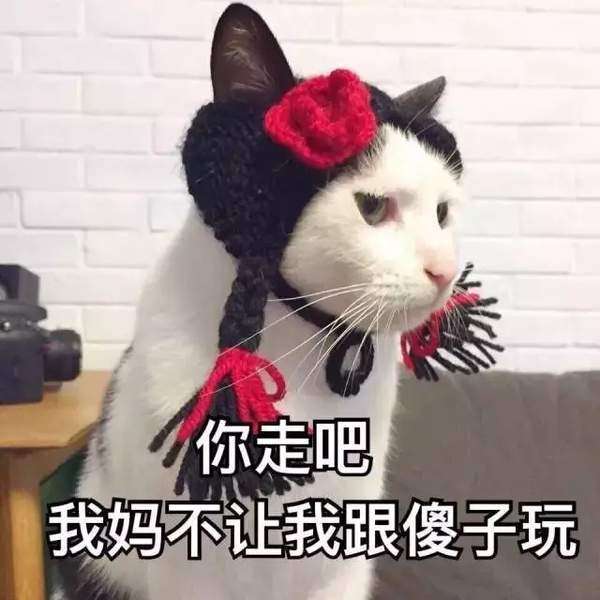 抖音【你走吧我妈不让我和傻子玩猫咪】表情包分享