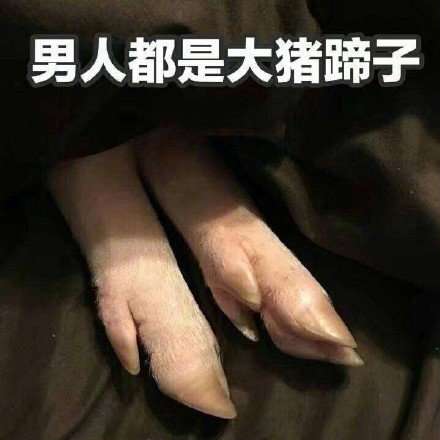 女生说男人都是大猪蹄子是什么梗_男人都是大猪蹄子是什么意思