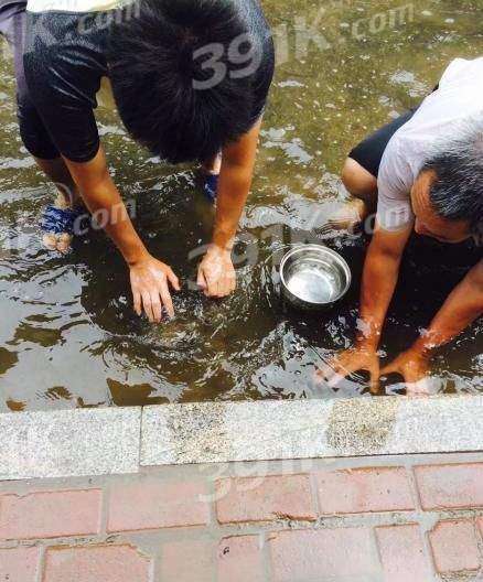 华南理工为什么叫抓鱼大学？抓鱼大学是什么梗