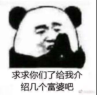 抖音给我介绍几个富婆吧熊猫头无水印表情包