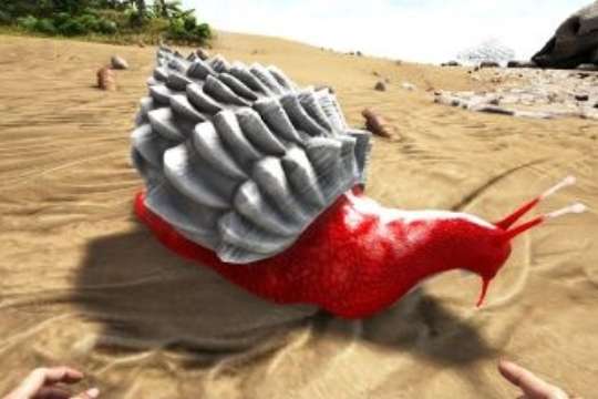 方舟生存进化玛瑙螺驯服食物介绍
