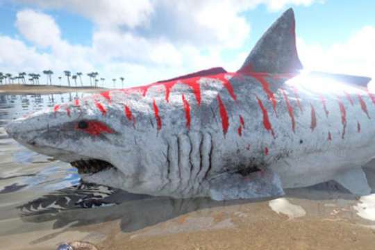 方舟生存进化巨齿鲨驯服食物介绍