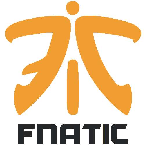 fnatic战队资料