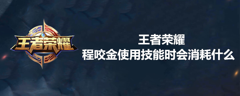 程咬金使用技能时会消耗什么-程咬金使用技能消耗介绍