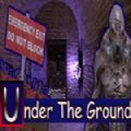 UnderTheGround