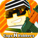 CopsNRobbers