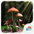 3D蘑菇-梦象动态壁纸