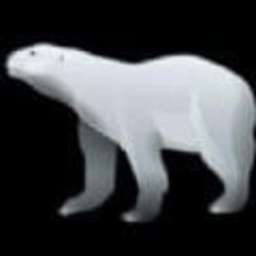 北极熊聚合直播二维码