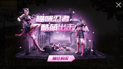 Pubg Mobile猫咪忍者套装在哪领？