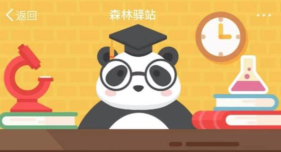 2019年是大熊猫科学发现多少周年