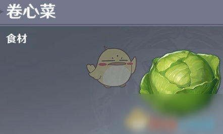 原神卷心菜在什么地方？