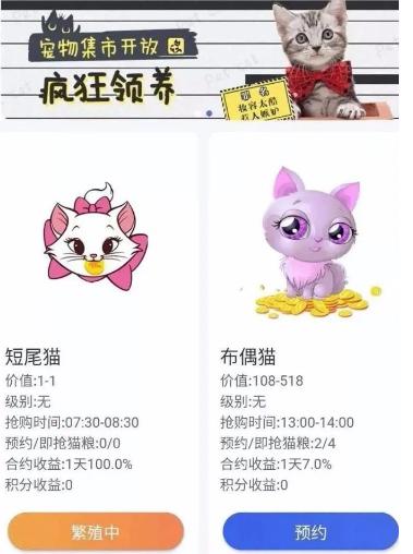 好玩的云养猫游戏合集