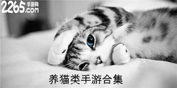 真实养猫游戏推荐