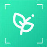 识植物App