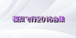 模拟飞行2016合集