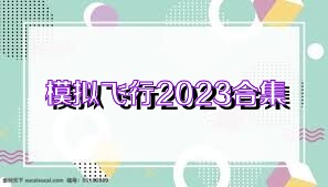 模拟飞行2023合集