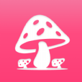 蘑菇赏APP安卓版