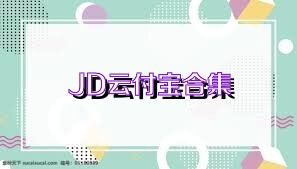 JD云付宝合集