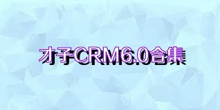 才子CRM6.0合集