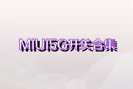 MIUI5G开关合集