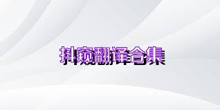 抖窥翻译合集