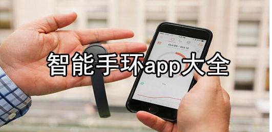 2024全网最全手环app下载