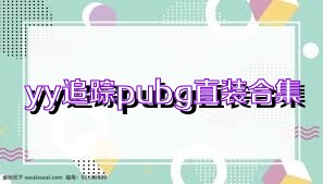 yy追踪pubg直装合集