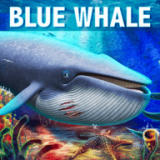 蓝鲸模拟器无限金币版