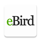 ebird中文版