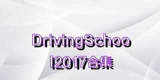 DrivingSchool2017合集