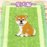 治愈系小狗养成游戏柴犬篇安卓版