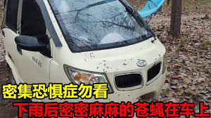 鸭子恐惧症合集
