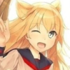 与狐狸的日