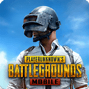 PUBGM暗影前线最新版